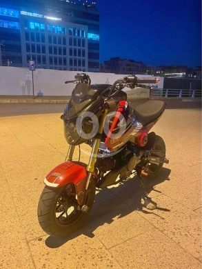 Motorcycles & ATVs in Beirut City - Honda Grom 181